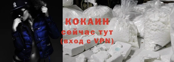 дживик Арсеньев