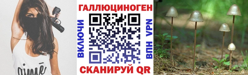 где продают   Мценск  Галлюциногенные грибы Cubensis 